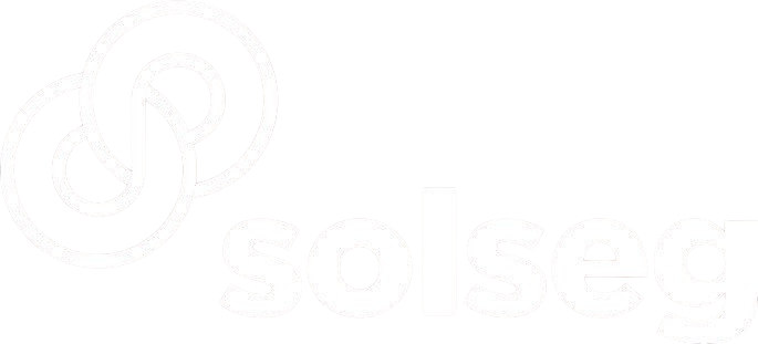 Sistema de gestión y consultoría tech corporativa para Solseg